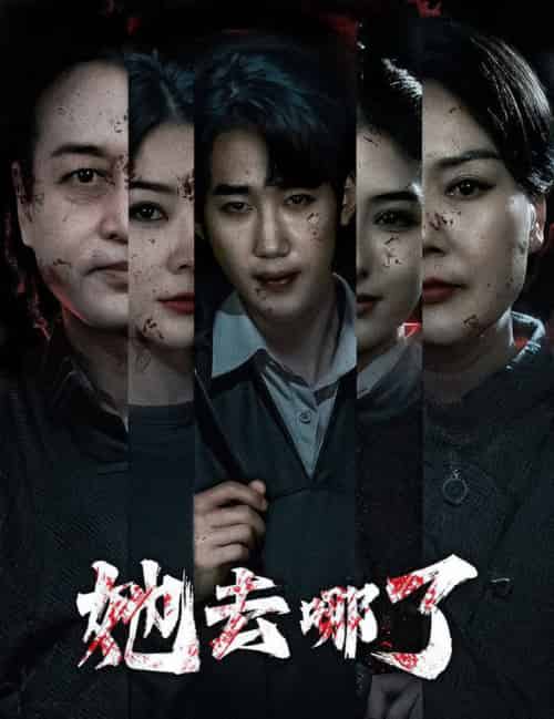 她去哪了（56集全）林初-初遇资源网