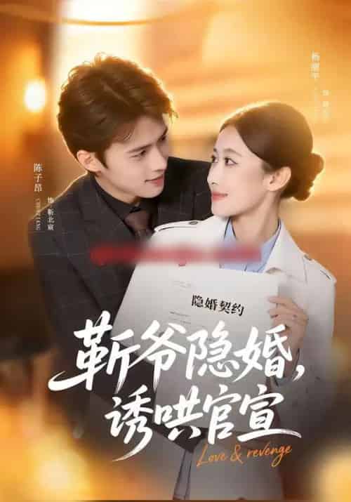 斩爷隐婚，诱哄官宣（80集全）陈子昂＆杨丽平-初遇资源网