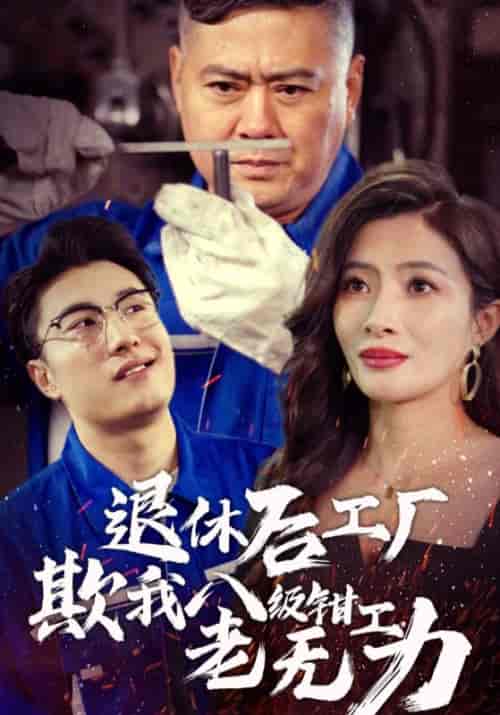 退休后工厂欺我八级钳工老无力(35集全)徐一锉&张兰-初遇资源网