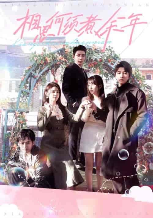 相思何须煮余年(33集全)顾辞澜&宋时微-初遇资源网