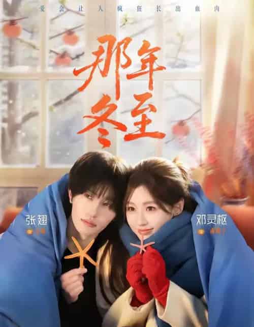 那年冬至（81集全）张翅＆邓灵枢-初遇资源网