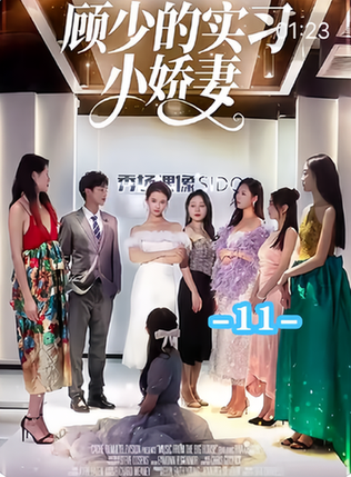 顾少的实习小娇妻（80集）孟娜-初遇资源网