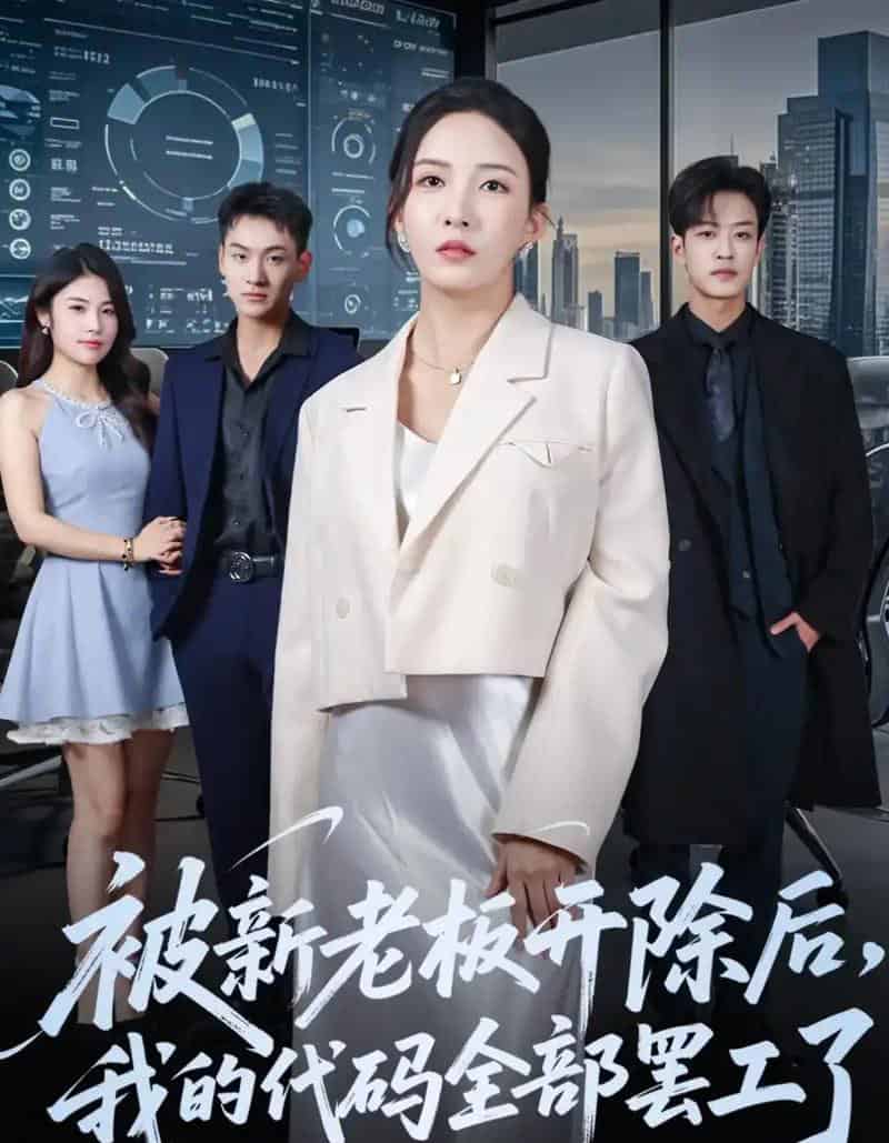 被新老板开除后我的代码全部罢工了(60集全)李若希&孙梓铖-初遇资源网