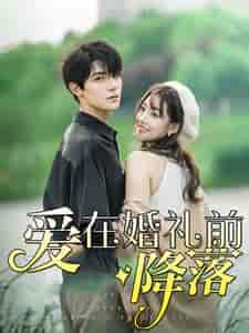 爱在婚礼前降落（50集）白昕怡 朱一未-初遇资源网