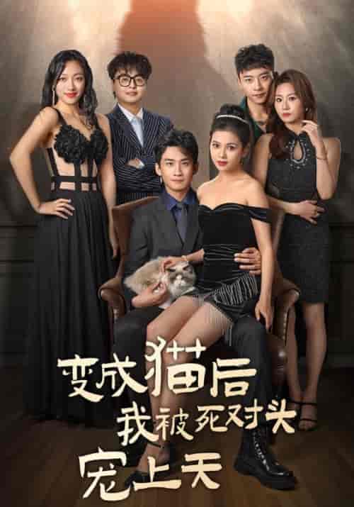 变成猫后被死对头宠上天(86集全)南宫廷逸&宁萌-初遇资源网