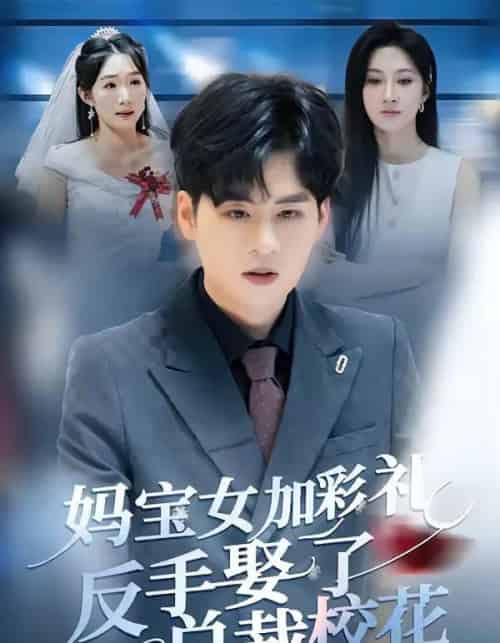 妈宝女加彩礼反手娶了总裁校花(81集全)韩非儿&毛家和-初遇资源网