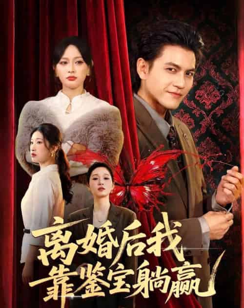 离婚后我靠鉴宝躺赢 离婚后我靠鉴宝躺赢