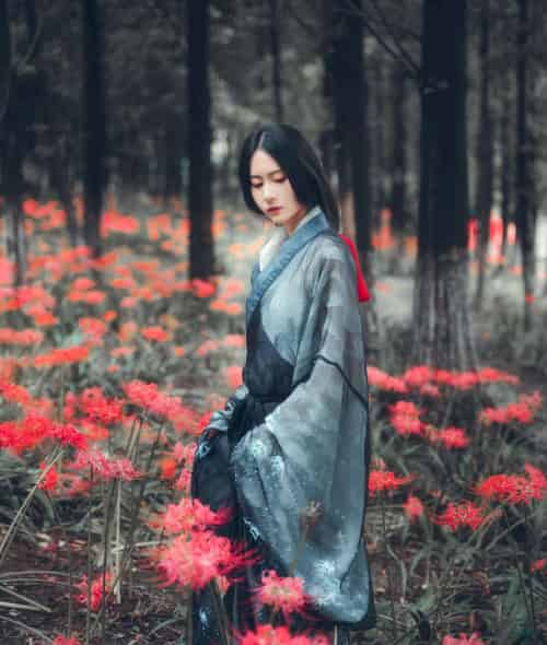 古典美女野外彼岸花丛中身着汉服 让人沉醉其中