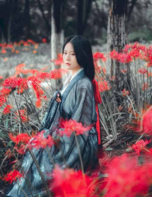 古典美女野外彼岸花丛中身着汉服 让人沉醉其中-初遇资源网