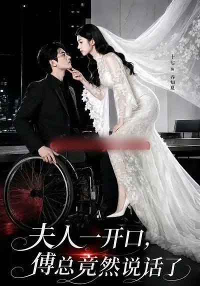 夫人一开口,傅总竟然说话了(60集全)AI短剧-初遇资源网