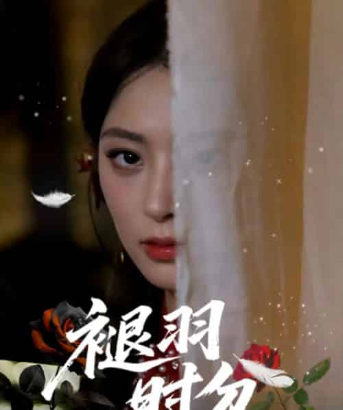 褪羽时分(61集)王美淇&关潇-初遇资源网