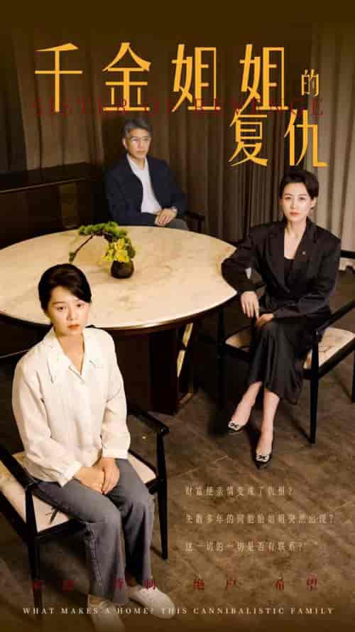 千金姐姐的复仇（79集）-初遇资源网