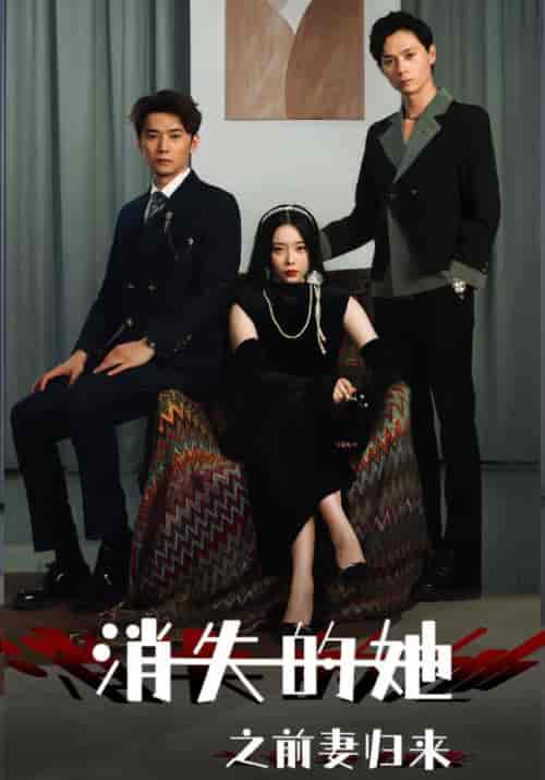 消失的她之前妻归来（79集全）秦昊杰＆林婉君-初遇资源网