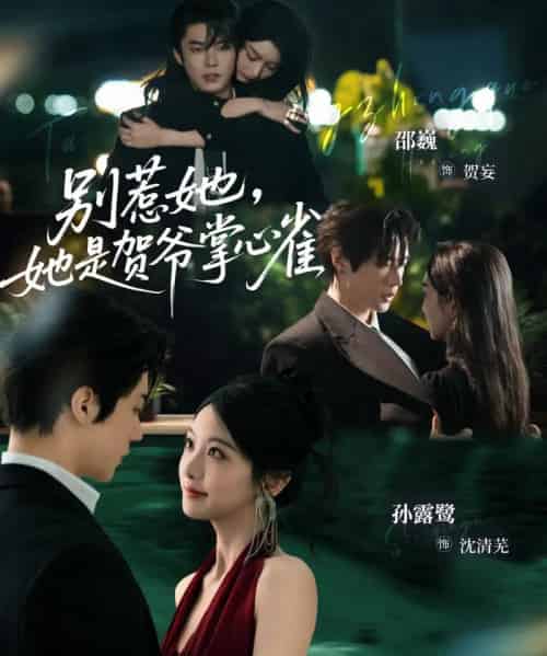 别惹她,她是贺爷掌心雀(69集全)邵巍&孙露鹭-初遇资源网