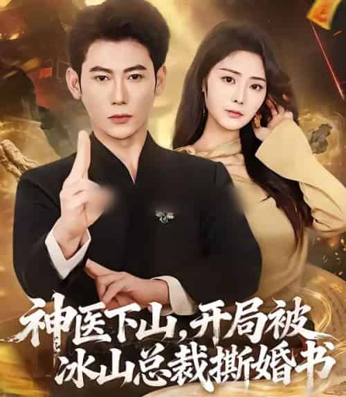 神医下山,开局被冰山总裁撕婚书(82集全)李乾锋&浅柔-初遇资源网