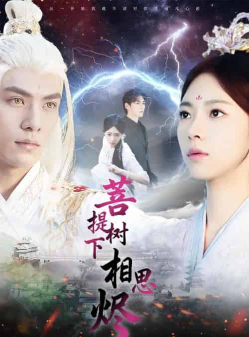 菩提树下相思烬（63集全）文渊＆崔一梁-初遇资源网