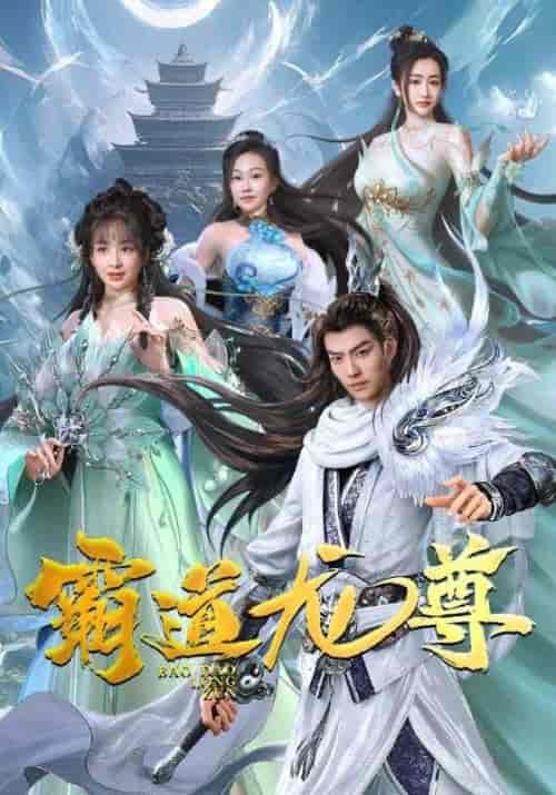 霸道龙尊（93集）-初遇资源网