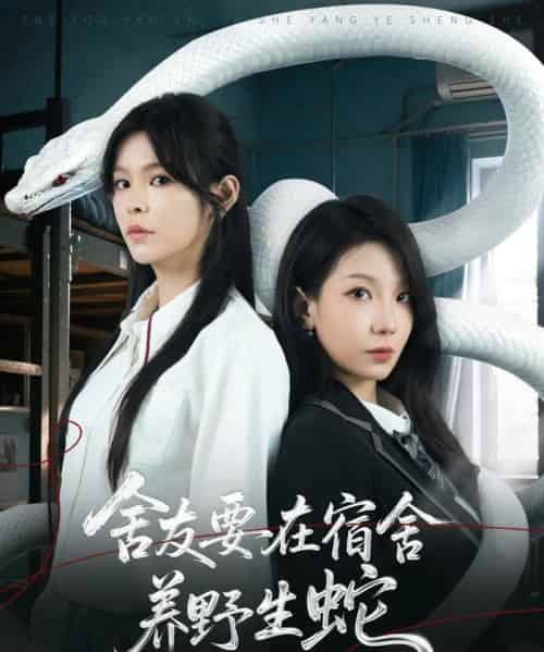 舍友要在宿舍养野生蛇（60集）邓诗韵＆朱晓彤-初遇资源网