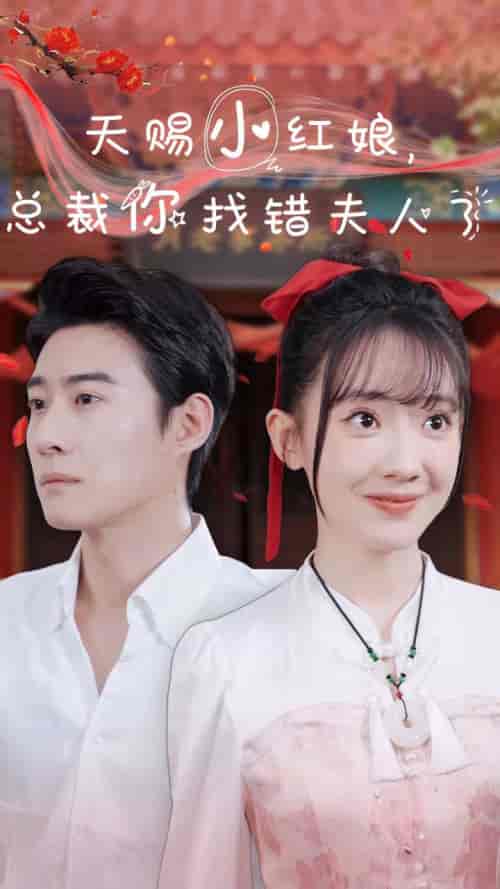 天赐小红娘总裁你找错夫人了（65集全）赵振栋-初遇资源网