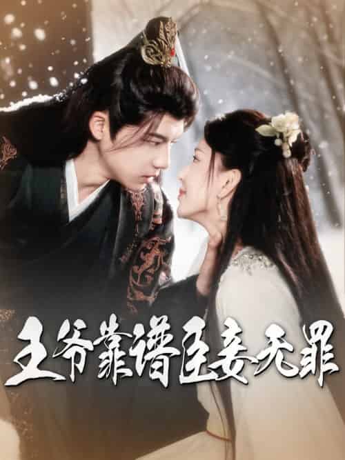 王爷靠谱臣妾无罪（89集全）黄子淇＆马蕊-初遇资源网