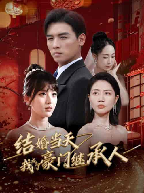 结婚当天我成了豪门继承人（53集全）-初遇资源网
