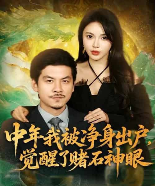 中年我被净身出户,觉醒了赌石神眼(80集全)柯珂(柯以)&王辉-初遇资源网