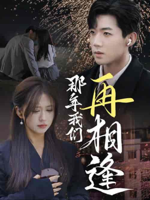 那年我们再相逢（65集全）张北淅＆柴慧欣-初遇资源网