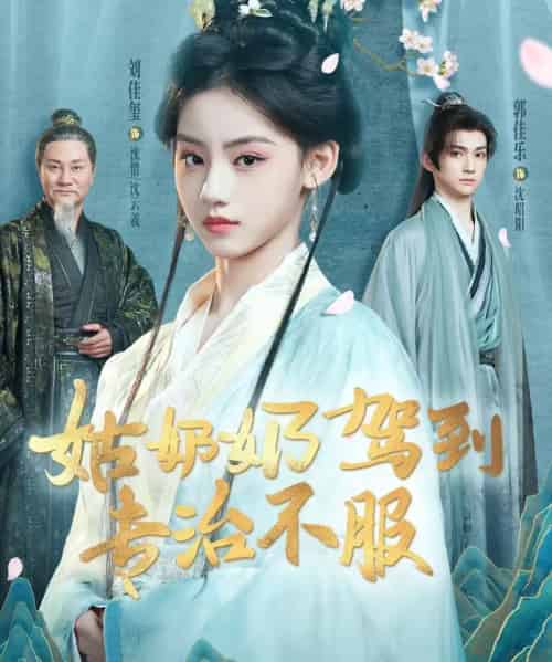 姑奶奶驾到专治不服(76集全)刘佳玺&郭佳乐&屈刚-初遇资源网