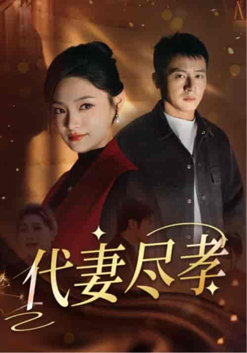 代妻尽孝（30集全）苏浩＆林清月-初遇资源网