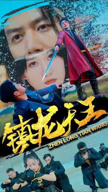 镇天龙(100集)-初遇资源网