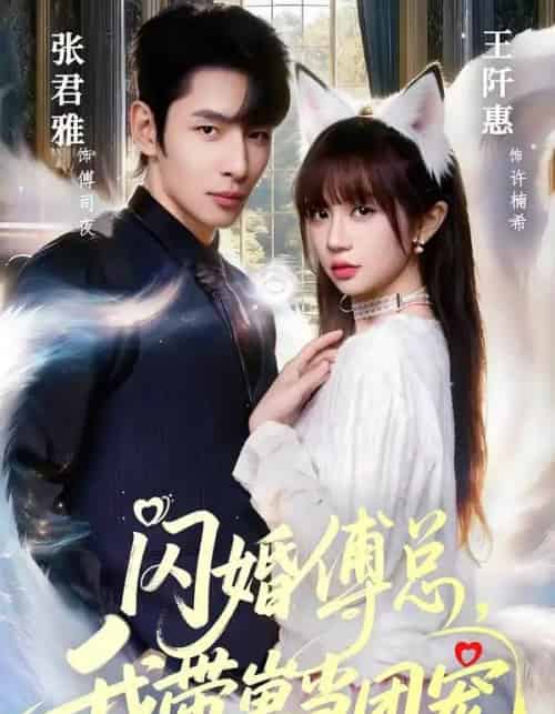 闪婚傅总，我带崽当团宠（85集全）张君雅＆王阡惠 - 夸克短剧