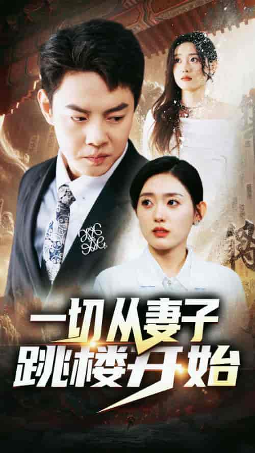 一切从妻子跳楼开始(82集)-初遇资源网