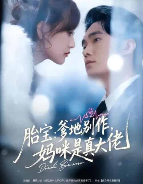 胎宝：爹地别作，妈咪是真大佬（60集全）宋哲伦＆张婉芳-初遇资源网