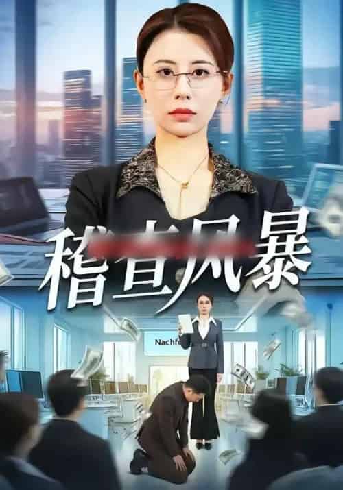 稽查风暴 稽查风暴