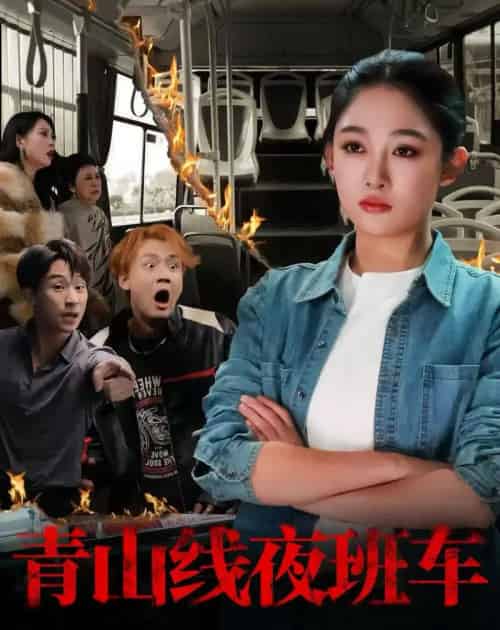 青山线夜班车（63集全）张亚迪＆魏战-初遇资源网