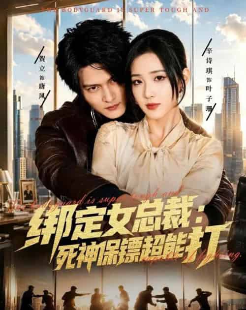 绑定女总裁：死神保镖超能打（80集全）贺立＆辛诗琪-初遇资源网