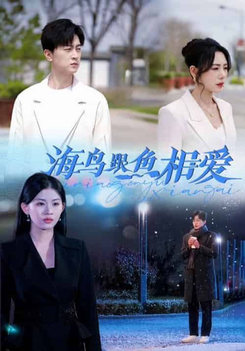海鸟跟鱼相爱（60集全）宋云川＆温言-初遇资源网