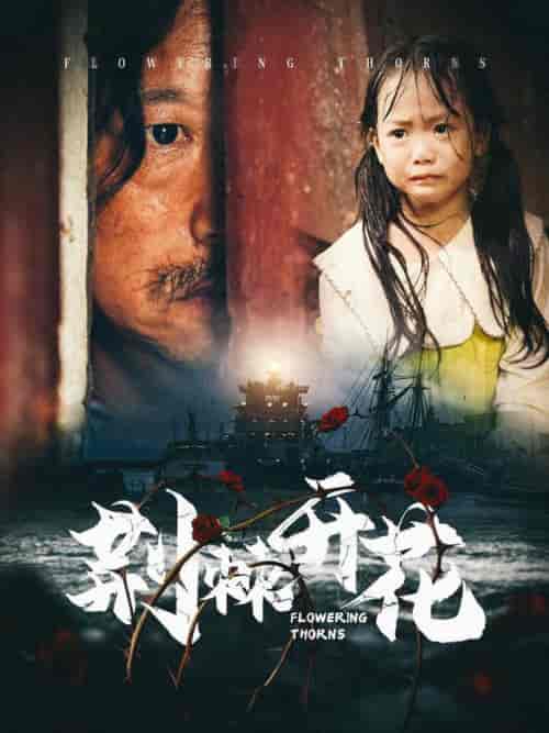 荆棘开花（35集全）-初遇资源网