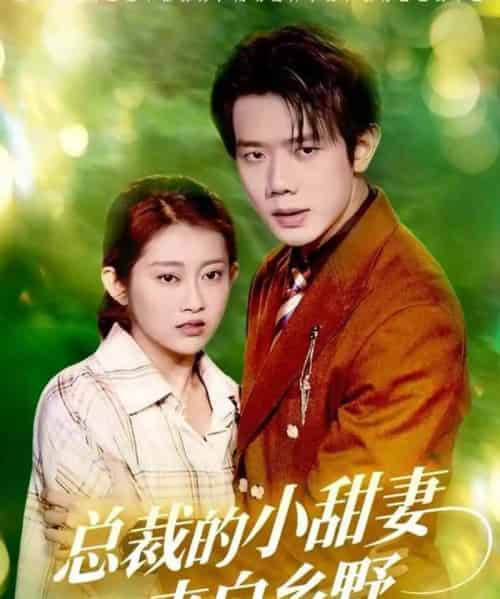 总裁的小甜妻来自乡野（127集全）何连飞＆崔馨心-初遇资源网