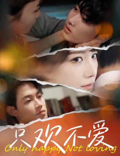 只欢不爱（70集全）-初遇资源网
