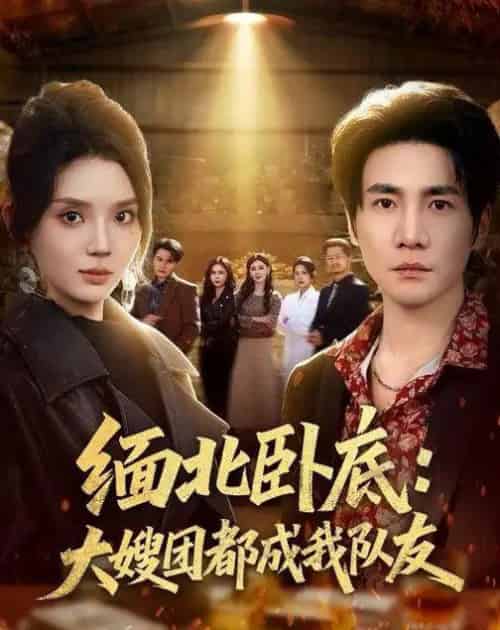 缅北卧底：大嫂团都成我队友（71集全）李想＆文静-初遇资源网