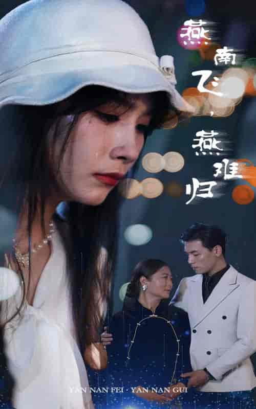 燕南飞,燕难归(31集)-初遇资源网