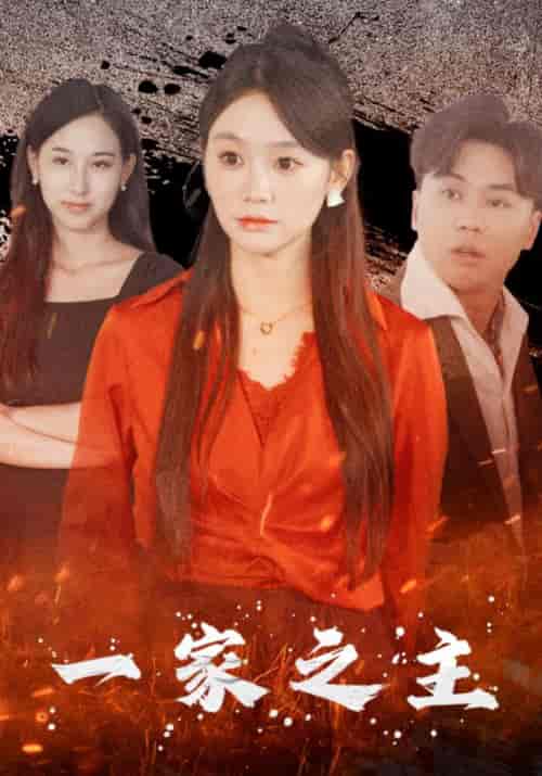 一家之主(35集)陈斌&陈墨-初遇资源网