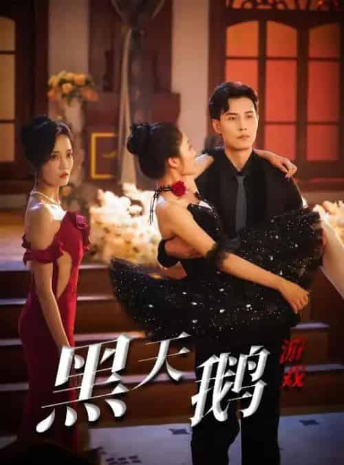 黑天鹅游戏（60集）宋喃＆郭美林子-初遇资源网