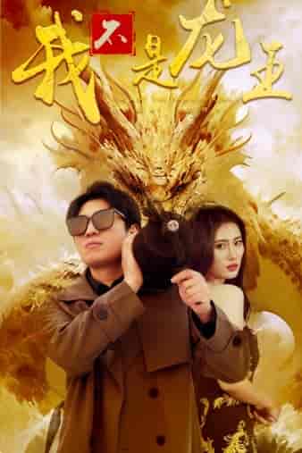 我不是龙王（80集）-初遇资源网