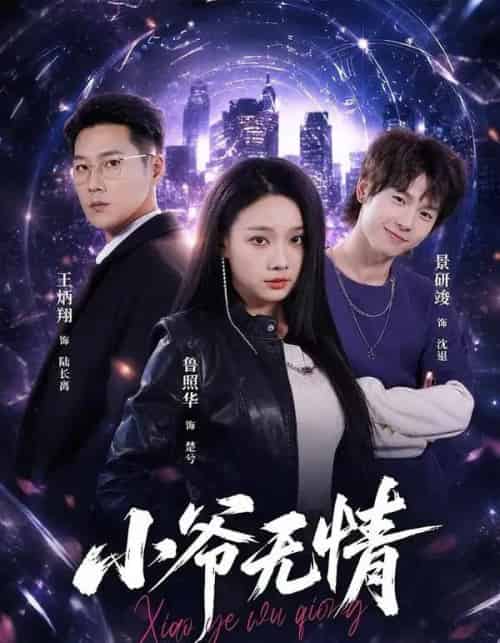 小爷无情（75集全）景研竣＆鲁照华＆王炳翔-初遇资源网