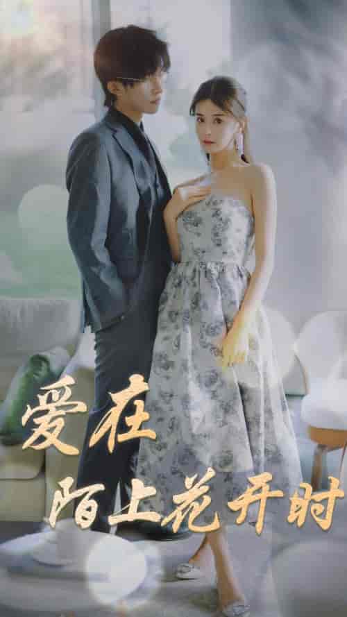 爱在陌上花开时（100集）-初遇资源网