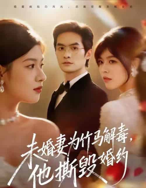 未婚妻为竹马解毒，他撕毁婚约（41集全）陈寻秋＆程新茸-初遇资源网