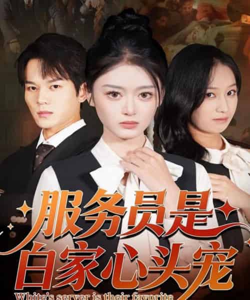 服务员是白家心头宠（80集全）汤淇钧＆王米泽-初遇资源网