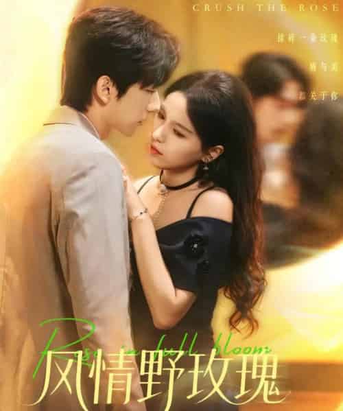 风情野玫瑰＆揉碎玫瑰（70集全）方思畅＆冯子毅-初遇资源网